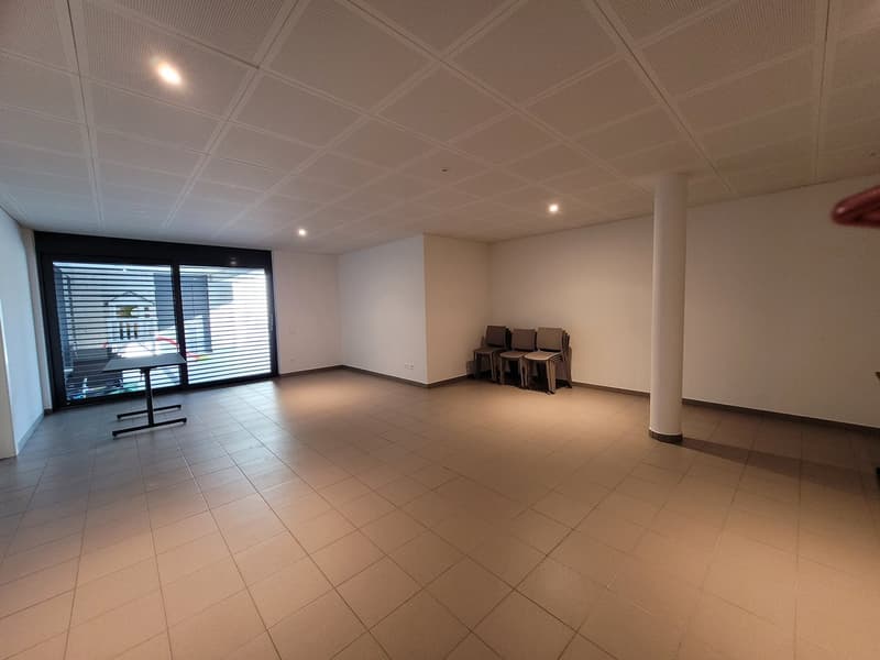 Beaux appartements ensoleillés (13)