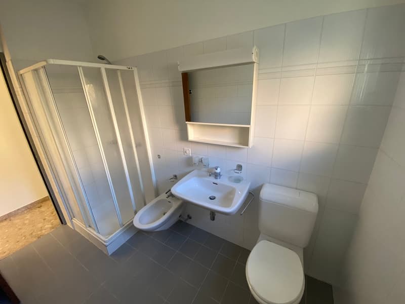 modern bathroom, white tiles, walk-in shower, bidet, toilet, sink with vanity, white walls