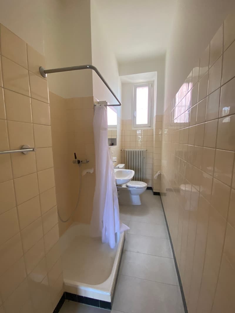 Appartamento 4.5 locali in affitto a Stabio – Tranquillo e luminoso (4)