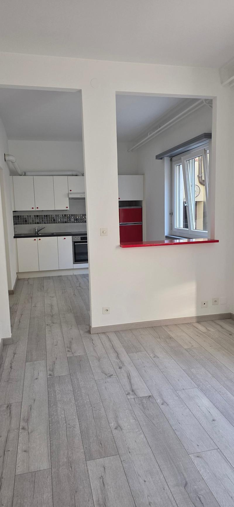 Appartement confortable de 2 pièces à Ligornetto – disponible immédiatement (3)