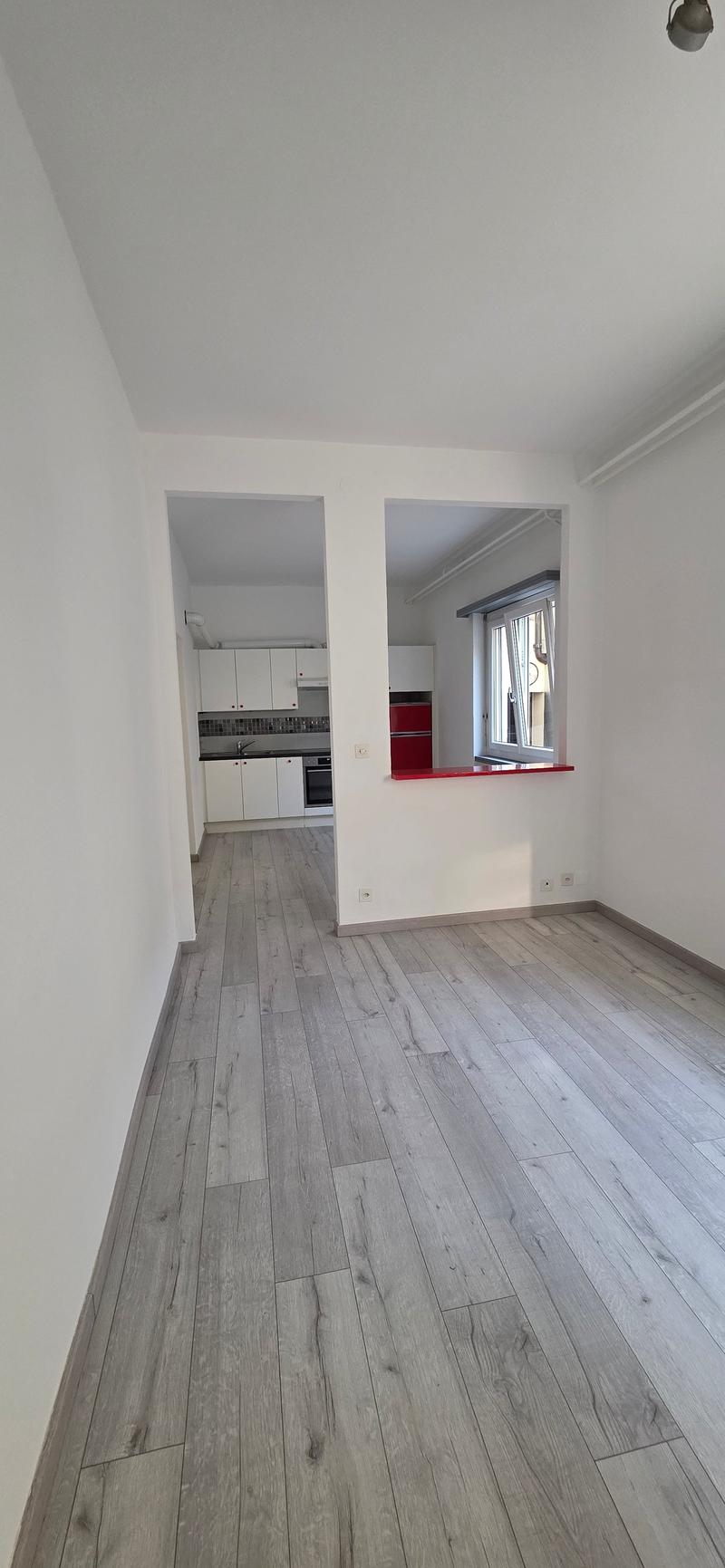 Appartement confortable de 2 pièces à Ligornetto – disponible immédiatement (4)