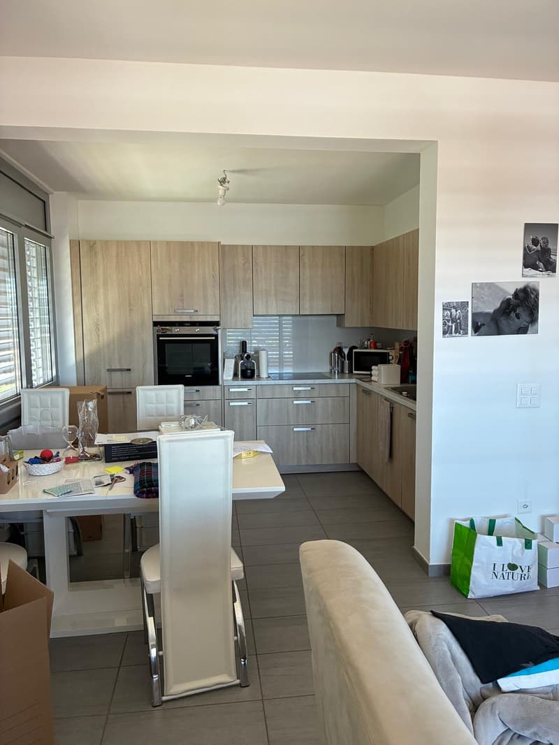 Faszinierendes Einfamilienhaus mit Garage in Castel San Pietro (5)