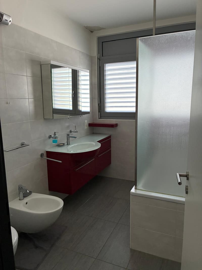 Faszinierendes Einfamilienhaus mit Garage in Castel San Pietro (10)