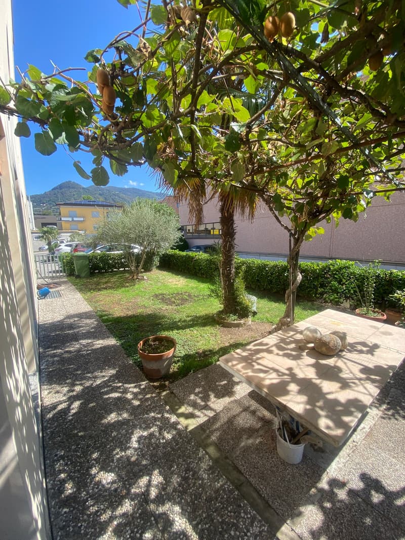 Appartamento 3.5 locali al piano terra a Balerna – accessibile e luminoso (2)
