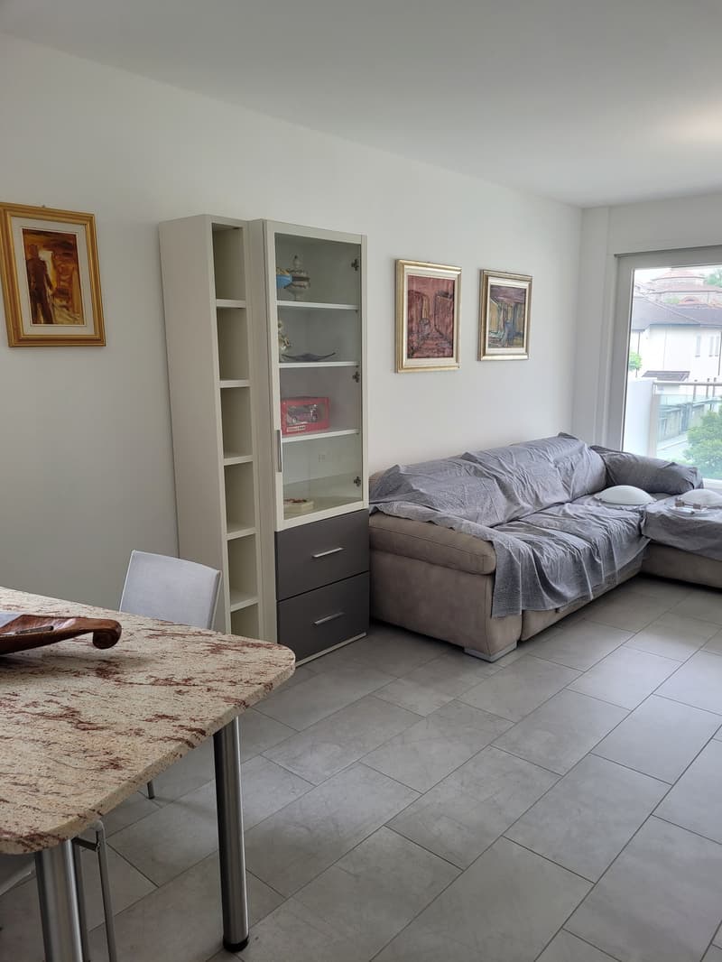 Appartamento arredato di 2.5 locali con piscina a Mendrisio (5)