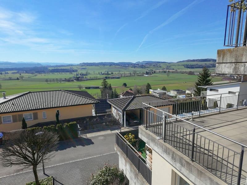 Dreamy View: 4 ½-room terrace apartment in a quiet location (13)