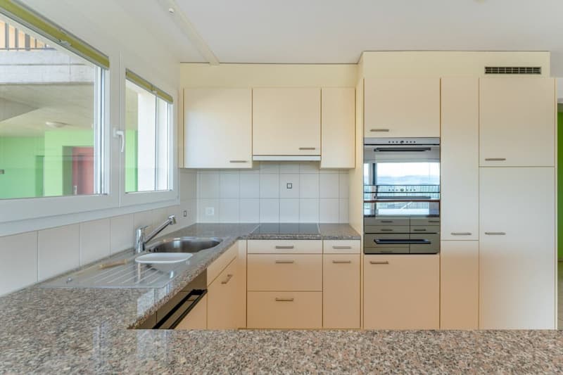 Dreamy View: 4 ½-room terrace apartment in a quiet location (7)