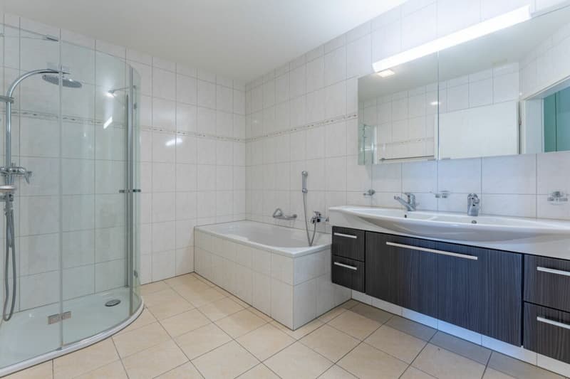 Dreamy View: 4 ½-room terrace apartment in a quiet location (9)