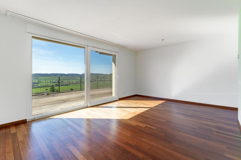 Dreamy View: 4 ½-room terrace apartment in a quiet location (10)