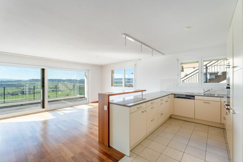 Dreamy View: 4 ½-room terrace apartment in a quiet location (2)