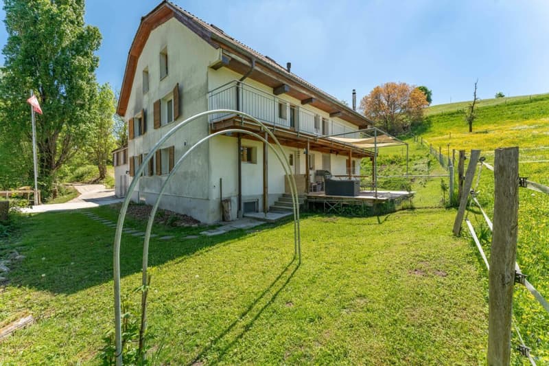 Situato idillicamente vicino al ruscello: casa residenziale con annesso (fienile, stalla) (3)
