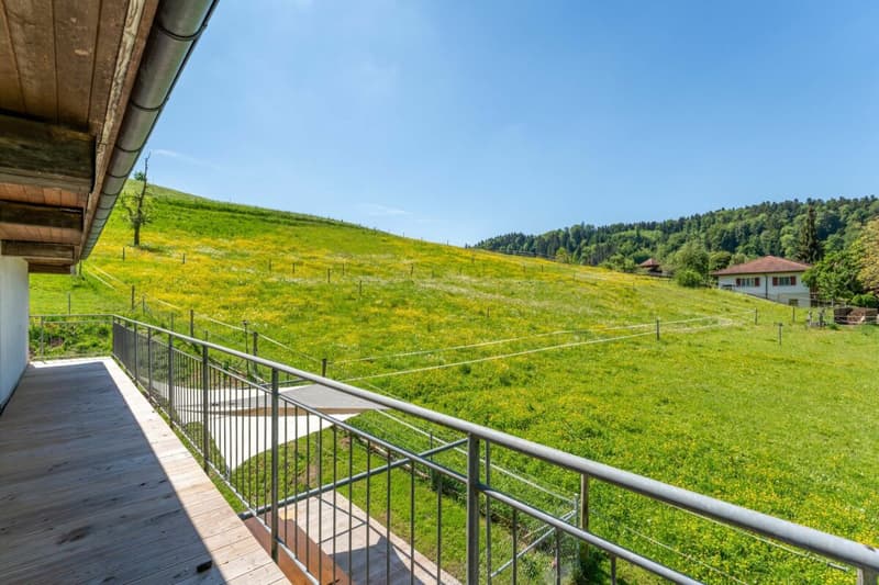 Situato idillicamente vicino al ruscello: casa residenziale con annesso (fienile, stalla) (11)