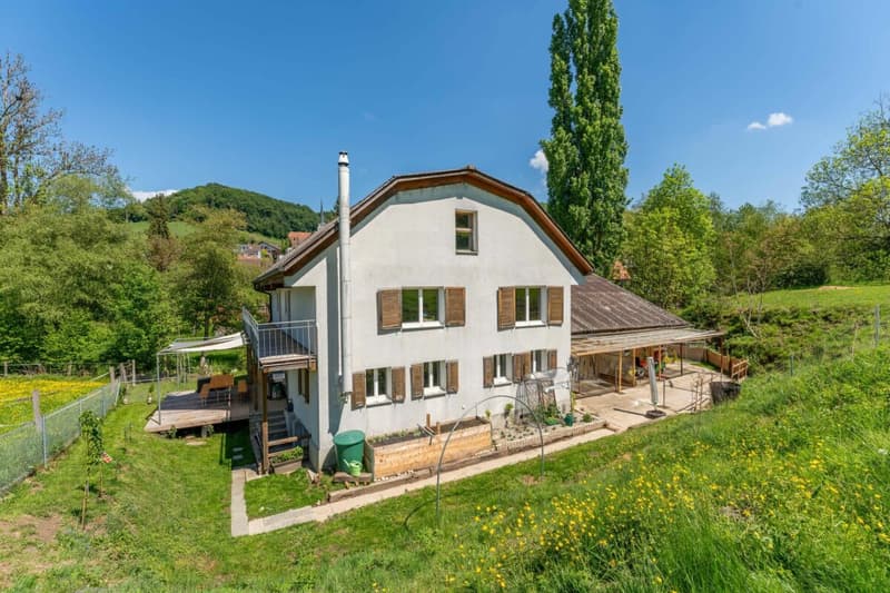 Situato idillicamente vicino al ruscello: casa residenziale con annesso (fienile, stalla) (2)