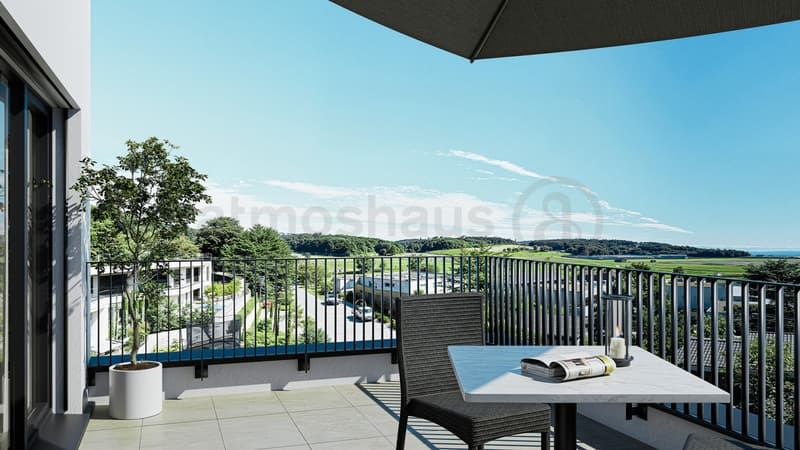 Nouvelle construction : maison 6,5 pièces avec attique, jardin et situation idéale près des chutes du Rhin (2)