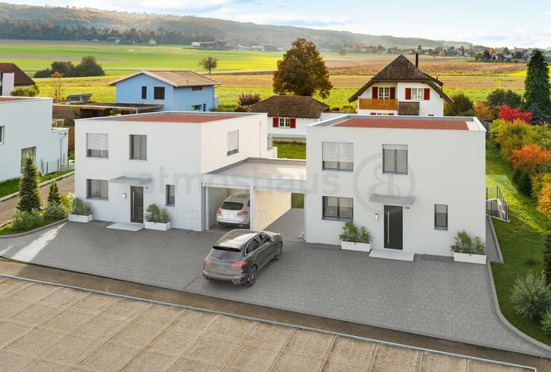Last chance for your 7.5-room new building near Basel (2)