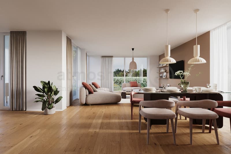 Last chance for your 7.5-room new building near Basel (4)