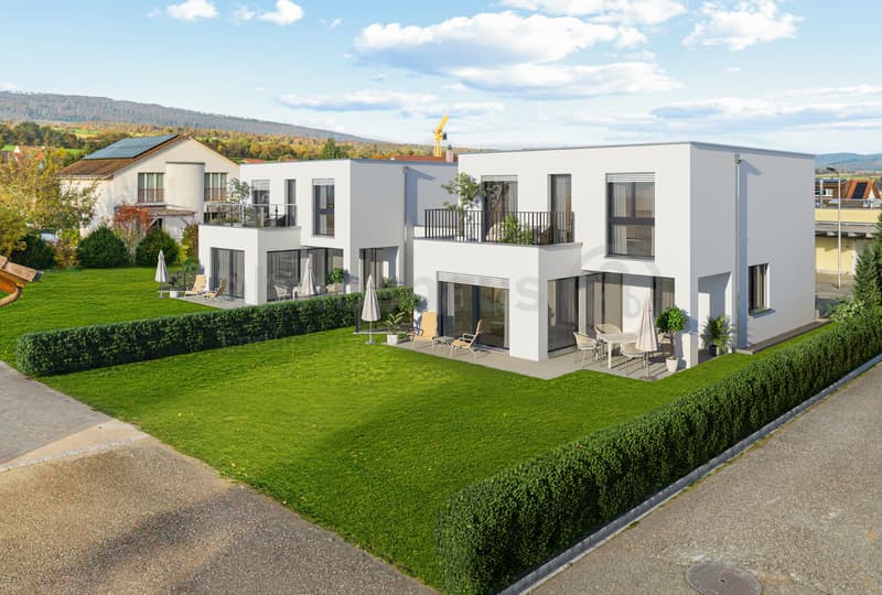 Last chance for your 7.5-room new building near Basel (1)