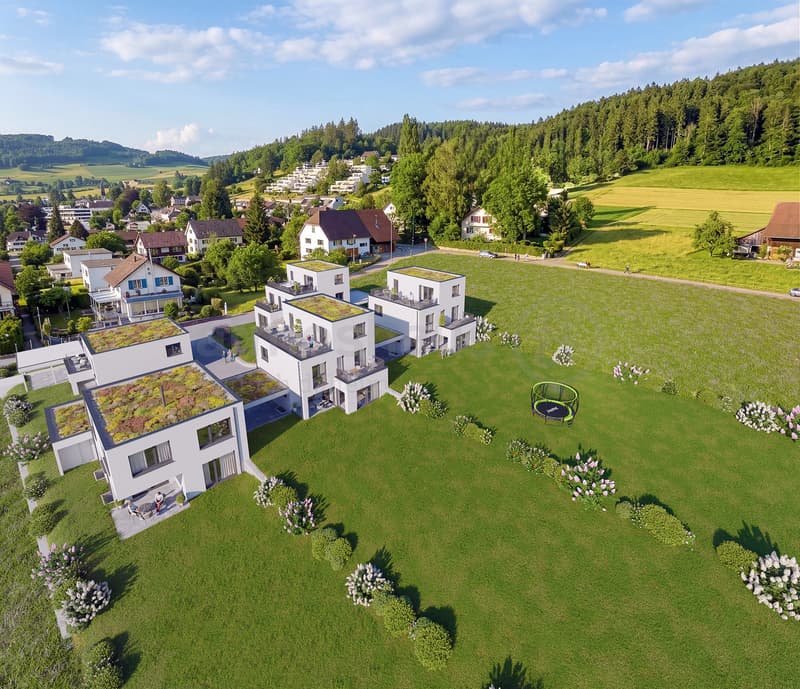 Letzte Gelegenheit: EFH in Reinach mit aussergewöhnlich viel Land (1)