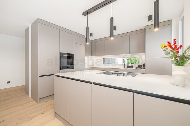 Last chance: Secure exclusive new DEFH in Kriens (2)