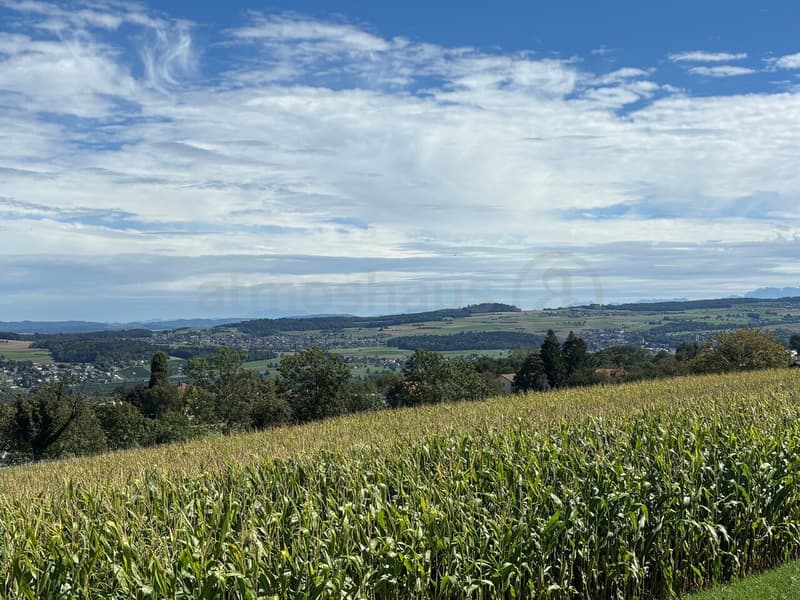 Une seule maison individuelle disponible - Votre nouveau foyer avec vue imprenable sur le Seetal (10)