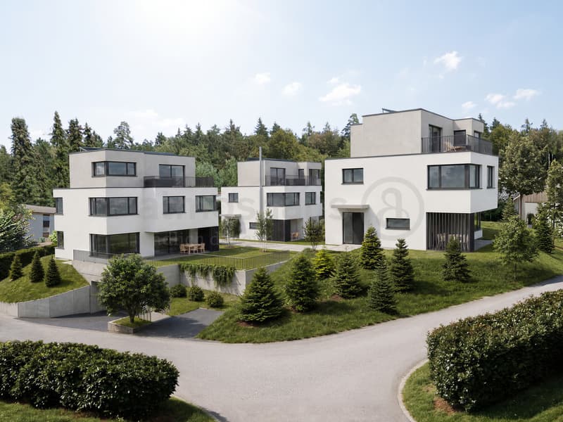 Gehobenes Neubauprojekt in Dietikon: 6.5 Zimmer, Attika & Whirlpool (1)