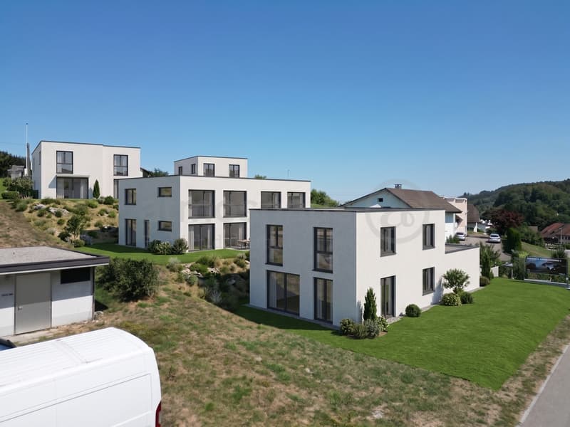Modernes DEFH Neubauprojekt mit Terrasse und Balkon in Safenwil (1)