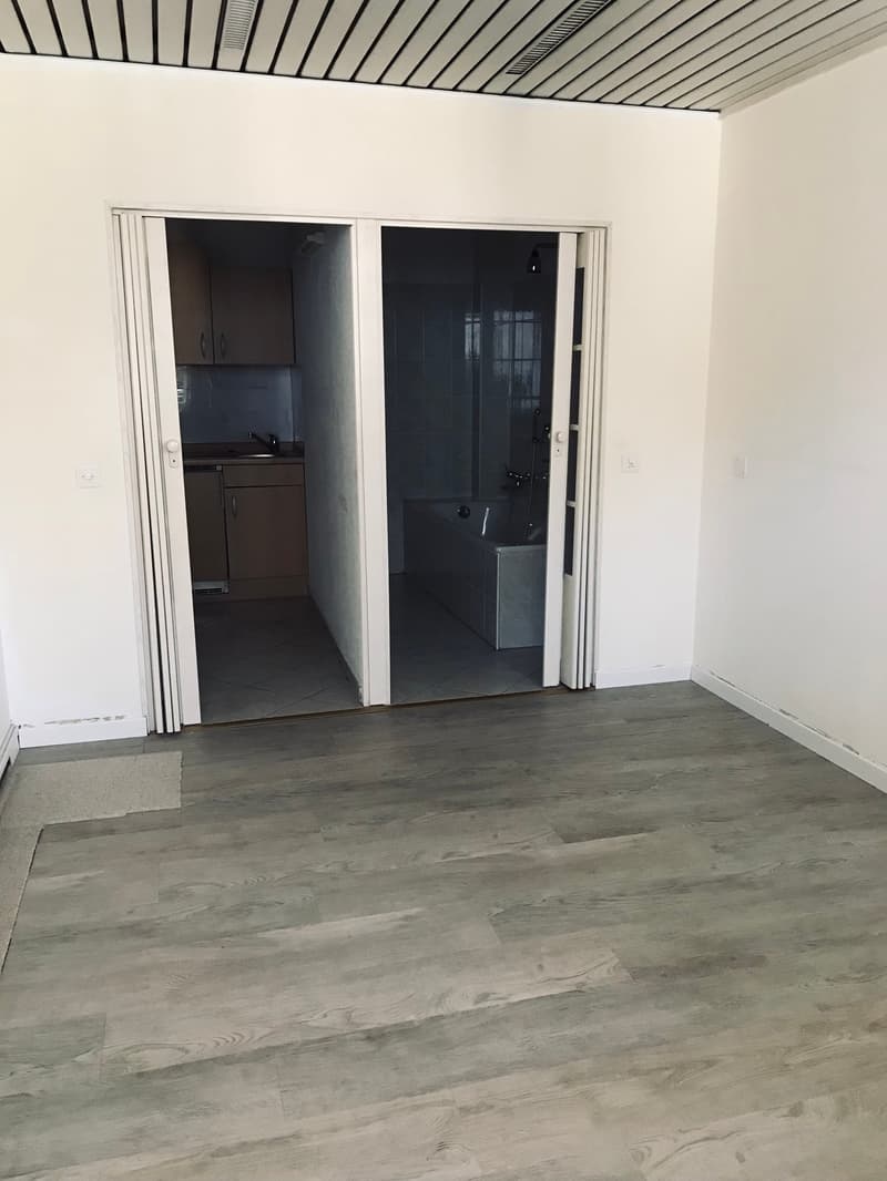 empty room, gray floor, white walls, kitchen area with sink, two wooden doors opening, bathtub
