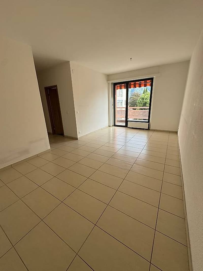 Affittasi appartamento 2.5 locali molto luminoso (3)