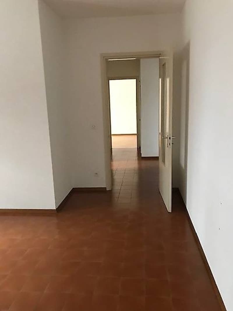 Zweieinhalb-Zimmer-Wohnung im Erdgeschoss zu vermieten (2)