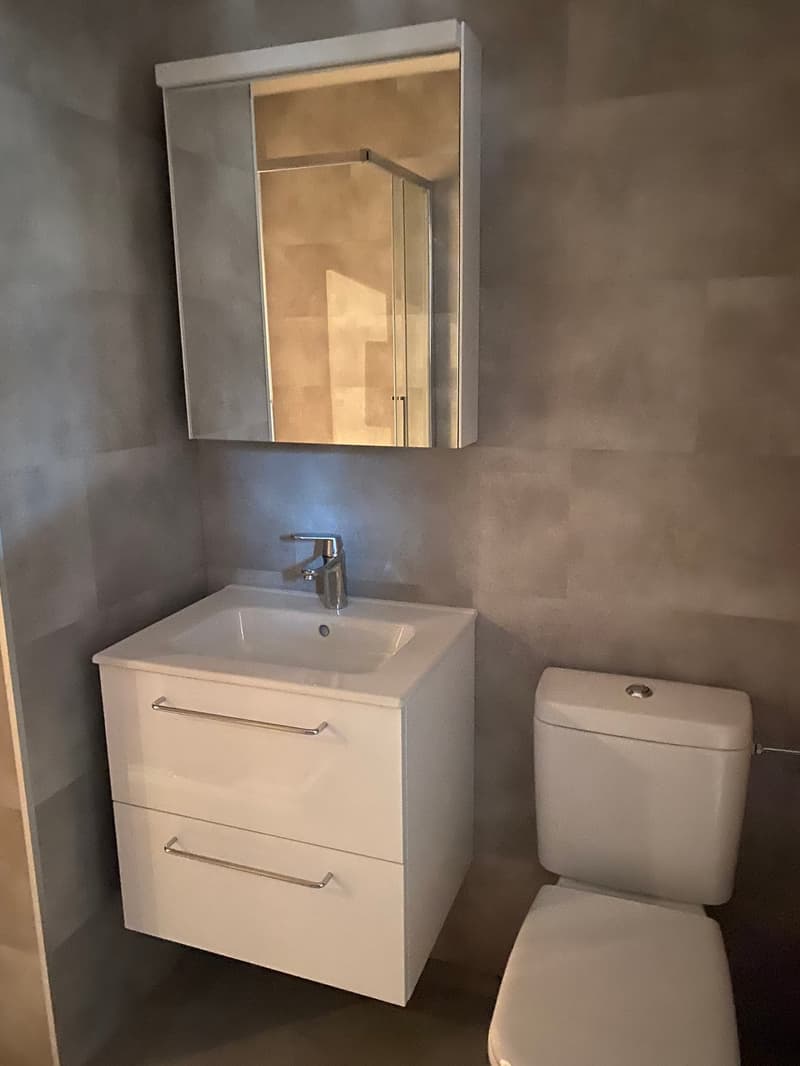 White sink with silver faucet, white cabinets with two drawers, white toilet, mirror