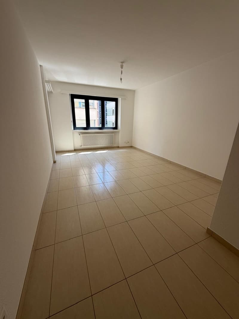 Helles 4.5-Zimmer-Apartment mit Balkon in Lugano – sofort verfügbar (3)