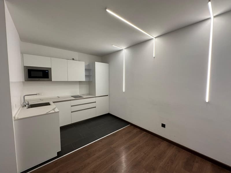Ufficio moderno di 10 locali con balcone a Chiasso (3)