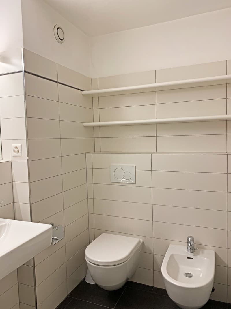 Attico arredato centro Chiasso (3)
