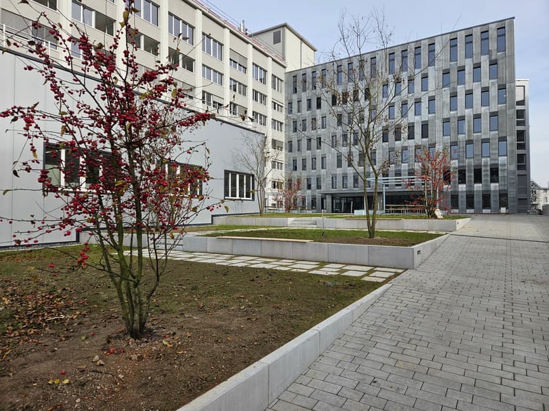large paved garden with trees and grass, surrounded by buildings
