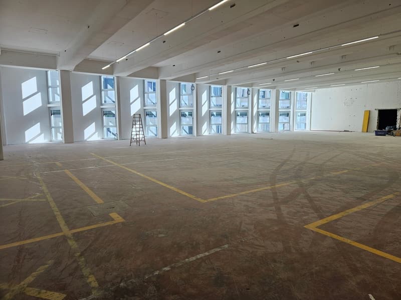 empty warehouse, large windows, high ceilings, ladder, yellow lines