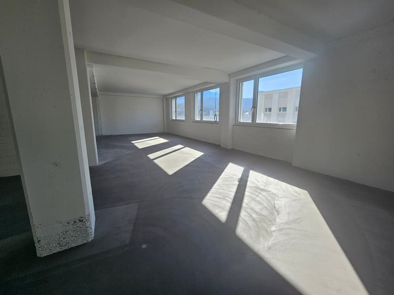 empty room, white walls, concrete floor, large windows, bright sunlight