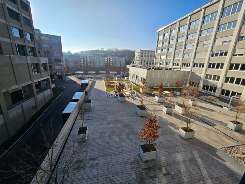 Attraktive Gewerbefläche mit 32 m² – Letzte verfügbare kleinere Einheit (2)
