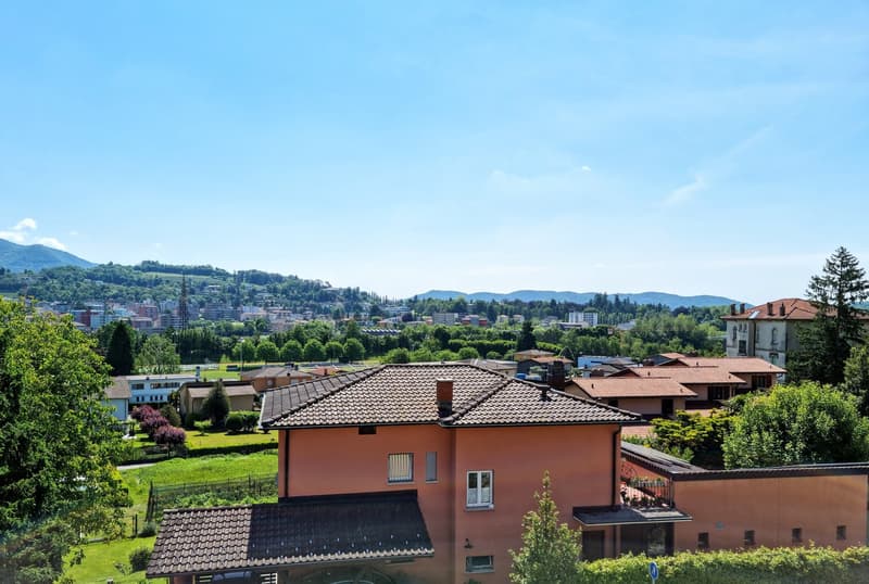 Aerial view of a house with a brown roof, surrounded by trees and a green lawn, with a city view in the background.