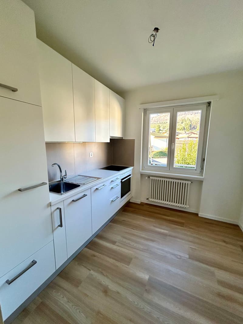 modern kitchen, white cabinets, wooden floor, stainless steel sink, electric stove, window with view