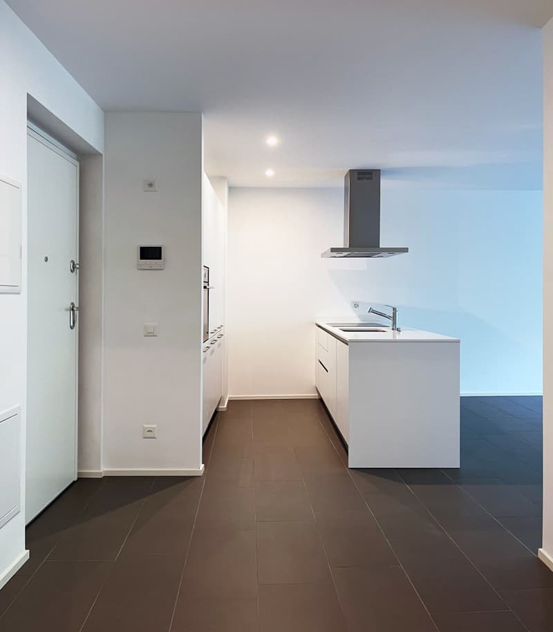 Perfect for Investment 2.5 Rooms with Large Terrace (2)