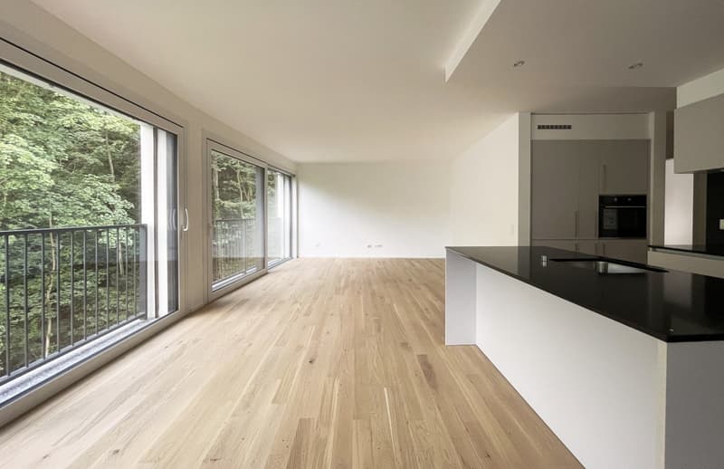 AMPRIE APPARTMENTS 4.5 LOCALE OPTIMALE EINKUNFTSMÖGLICHKEIT (1)