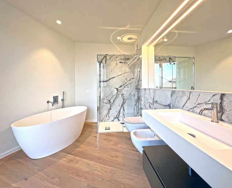 Exklusives 5.5-Zimmer-Wohnung mit Seeblick-Terrasse (3)
