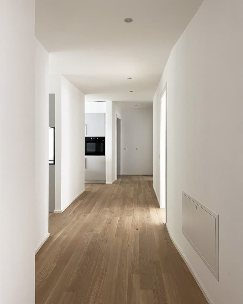 Neue 4.5-Zimmer-Wohnung mit großer Terrasse und Einkommen (4)