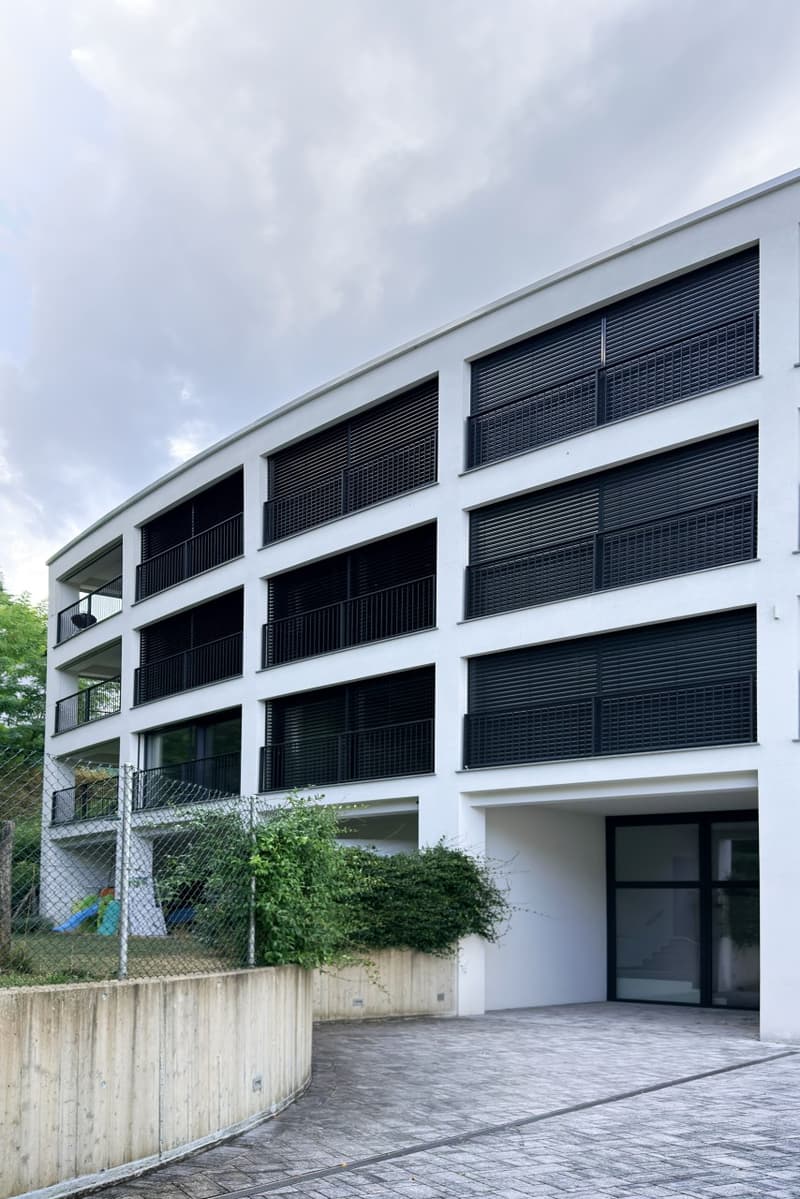 Nuovo 4.5 locali a REDDITO con grande terrazza (2)