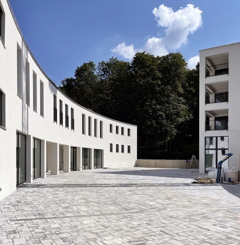 Neue 4.5-Zimmer-Wohnung mit großer Terrasse und Einkommen (5)