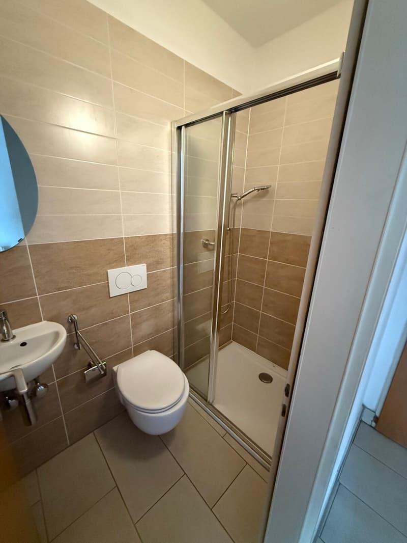 Appartamento 4.5 locali in vendita a Massagno (4)