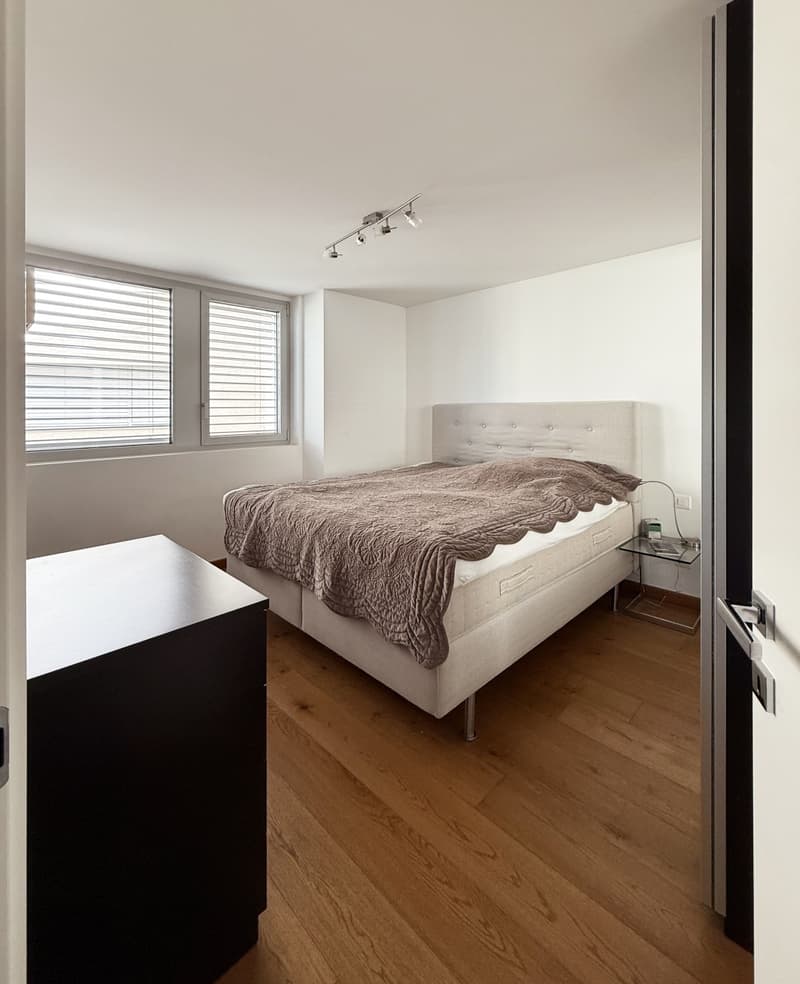 Appartamento 3.5 locali con meravigliosa vista lago (4)