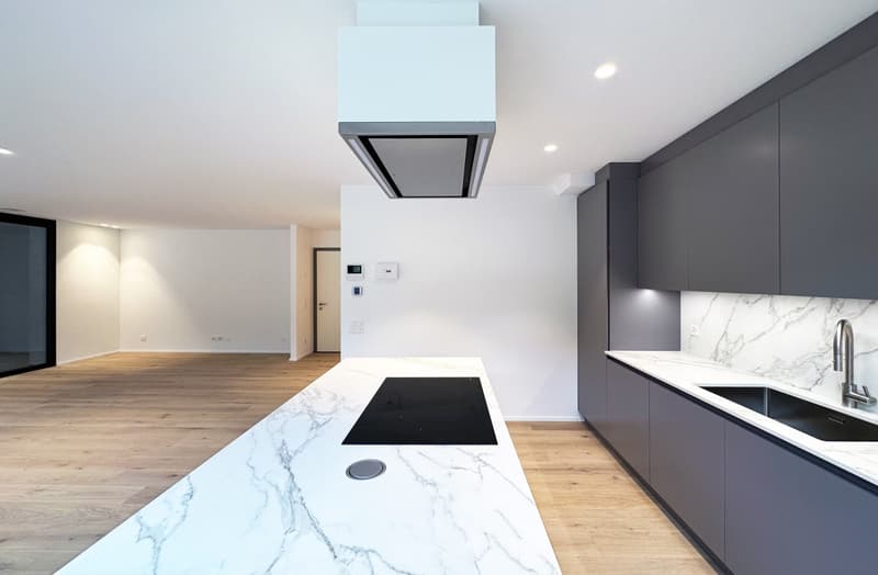 Nuovo ed Imperdibile 4.5 locali duplex a Comano (4)