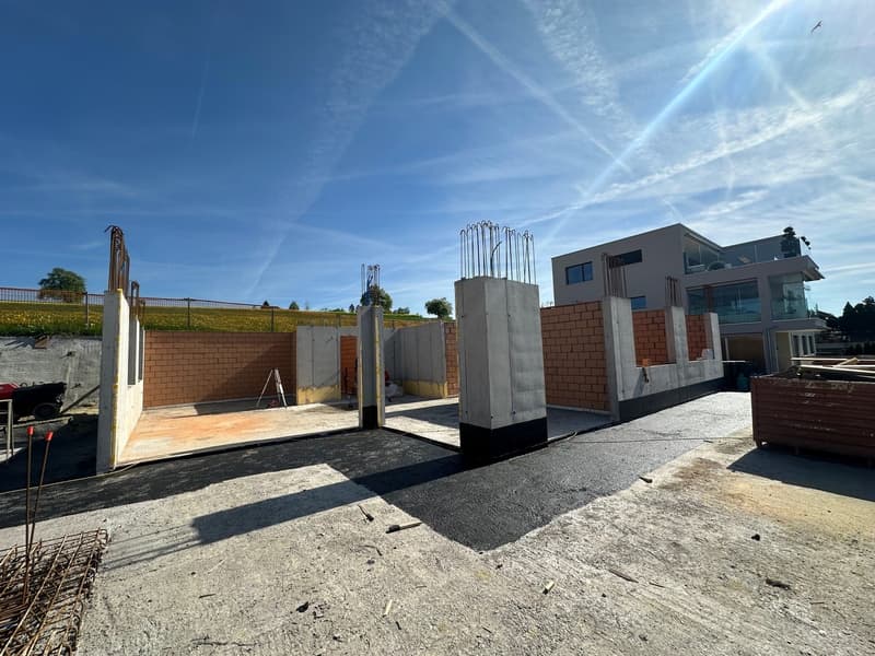 Exclusive 5.5-room ground-floor apartment in Eich - New building with Minergie certification (4)