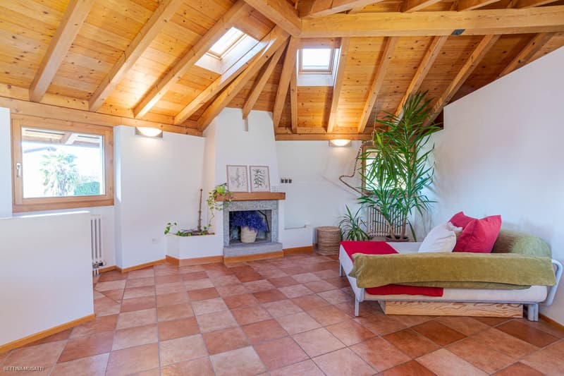 wooden ceiling, fireplace, tiled floor, sofa with pillows, large potted plant